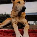 Программы лояльности казино без депозита - проверенные решения