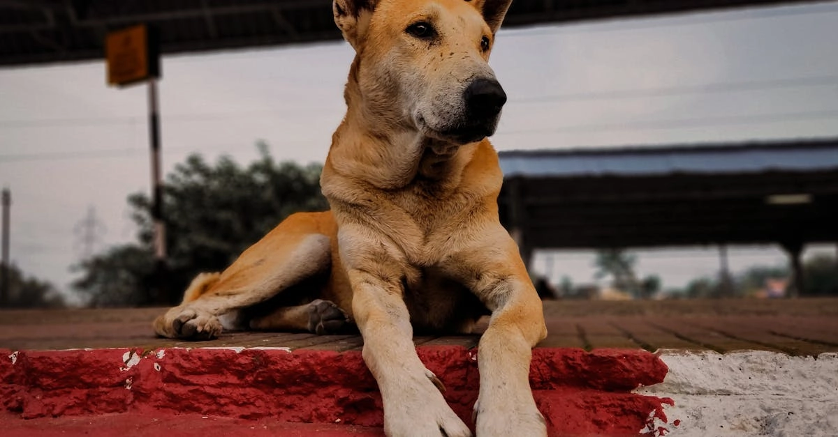 Программы лояльности казино без депозита - проверенные решения
